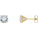 14K Yellow 1/2 CTW Diamond 4-Prong Cocktail-Style Earrings photo