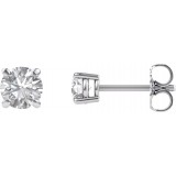 14K White 4.5 mm Round Forever Oneu2122 Moissanite Earrings photo