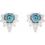 14K White Aquamarine & 1/6 CTW Diamond Earrings photo 2