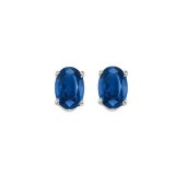 Gems One 14Kt White Gold Sapphire (1 Ctw) Earring photo