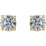 14K Yellow 1/2 CTW Diamond Earrings photo 2