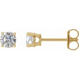 14K Yellow 1/2 CTW Diamond Earrings photo