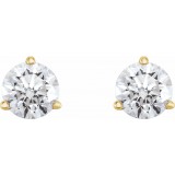 14K Yellow 3/4 CTW Diamond Earrings photo 2