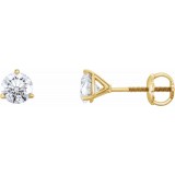 14K Yellow 3/4 CTW Diamond Earrings photo