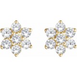 14K Yellow 3/8 CTW Diamond Flower Earrings photo 2