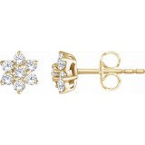 14K Yellow 3/8 CTW Diamond Flower Earrings photo