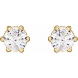 14K Yellow 3 mm SI2-SI3 1/5 CTW Diamond 6-Prong Wire Basket Earrings photo 2