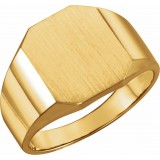 14K Yellow 14x12 mm Octagon Signet Ring photo