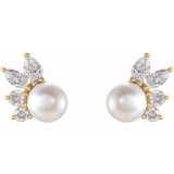 14K Yellow Akoya Cultured Pearl & 1/2 CTW Diamond Earrings photo 2