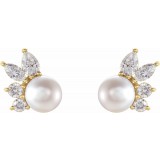 14K Yellow Akoya Cultured Pearl & 1/2 CTW Diamond Earrings photo 2