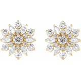 14K Yellow 1 CTW Diamond Earrings photo 2