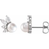 14K White Akoya Cultured Pearl & 1/2 CTW Diamond Earrings photo