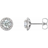 14K White 3/8 CTW Diamond Halo-Style Earrings photo