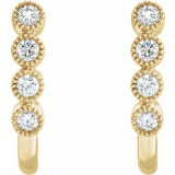 14K Yellow 1/4 CTW Diamond J-Hoop Earrings photo 2