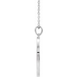 14K White 20.3x18.4 mm Ichthus (Fish) 16-18 Necklace photo 2