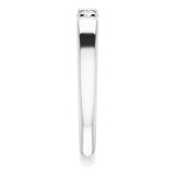 14K White 1/5 CTW Diamond French-Set Anniversary Band photo 4